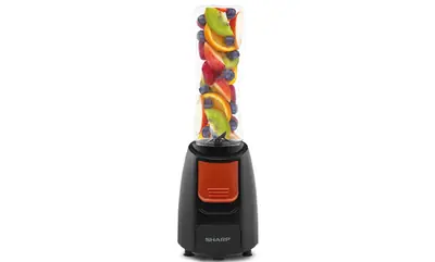 240 Watt Personal Blender