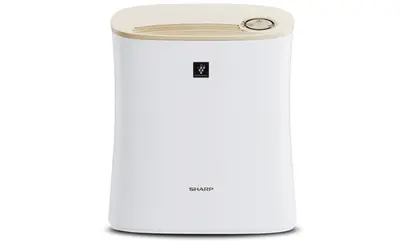 Air Purifier