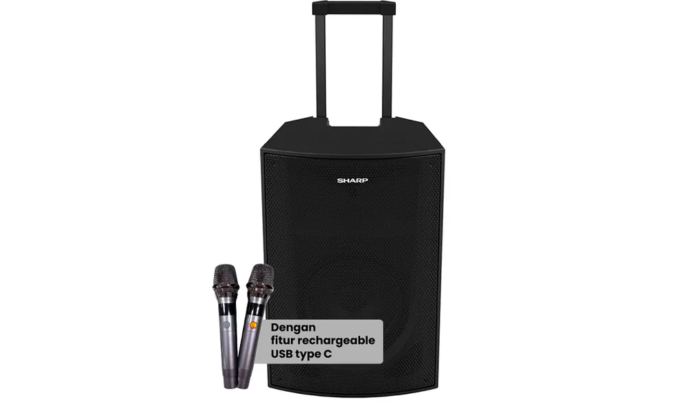 Advanced Professional Speaker