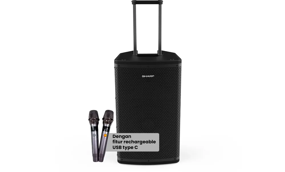 Advanced Professional Speaker