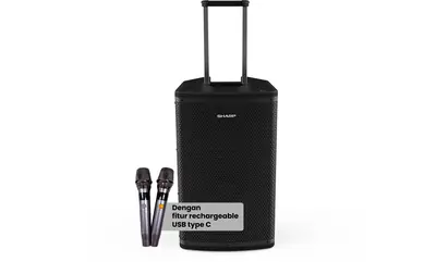 Advanced Professional Speaker