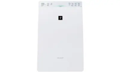 Air Purifier with Humidifying Function