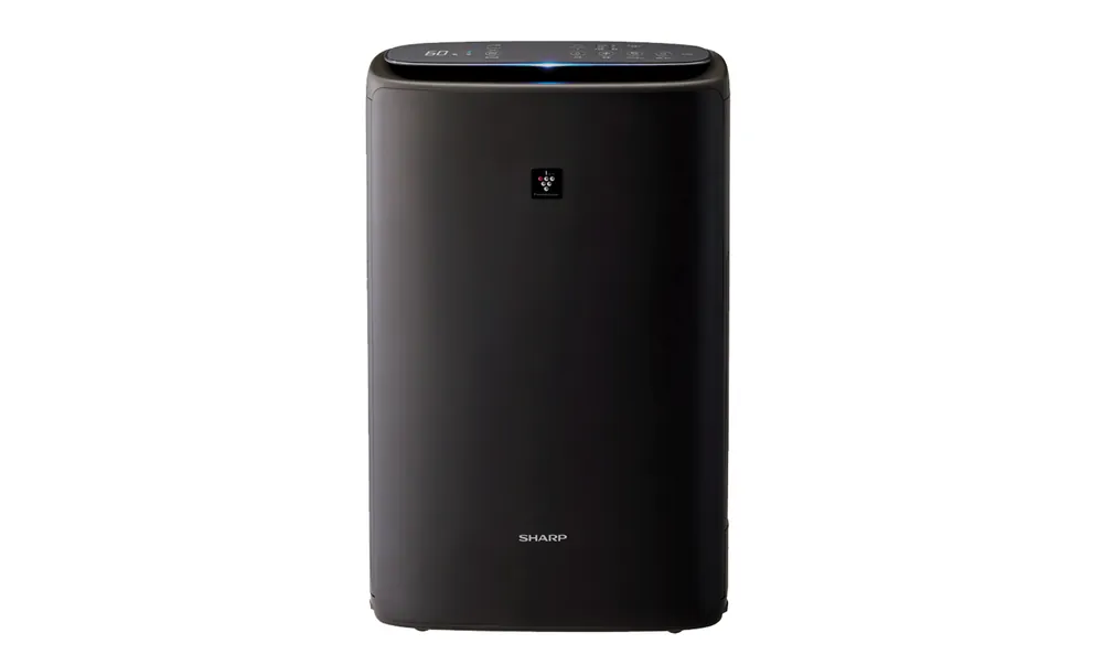 Air Purifier with Humidifier