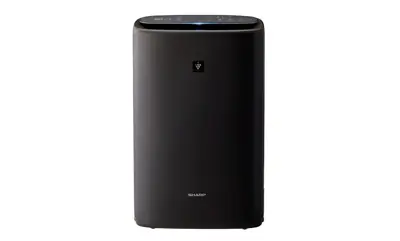 Air Purifier with Humidifier