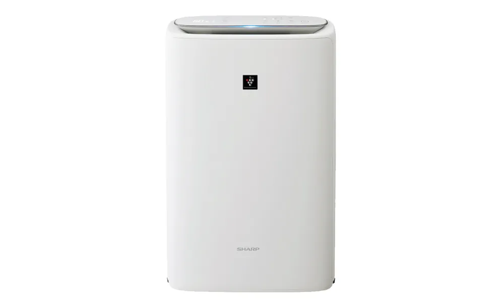 Air Purifier with Humidifier