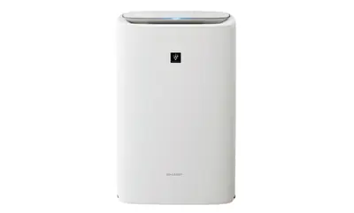 Air Purifier with Humidifier