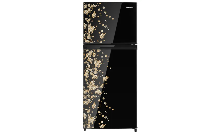 Kulkas 2 Door SHINE Magne Glass