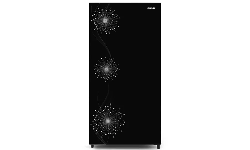 Kulkas 1Door SHINE MagneGlass Double Freezer