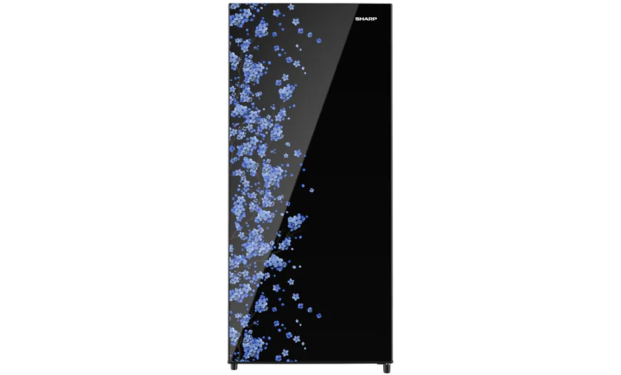 Kulkas 1Door SHINE MagneGlass Double Freezer