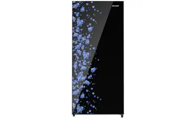 Kulkas 1Door SHINE MagneGlass Double Freezer